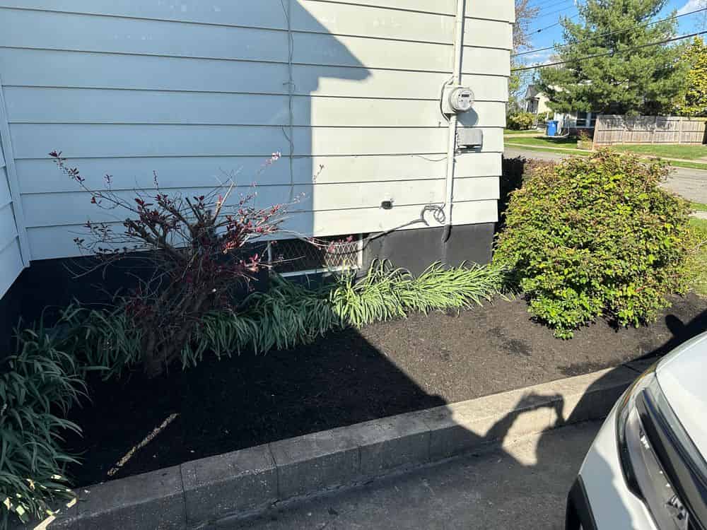 Mulching and Weed Control image