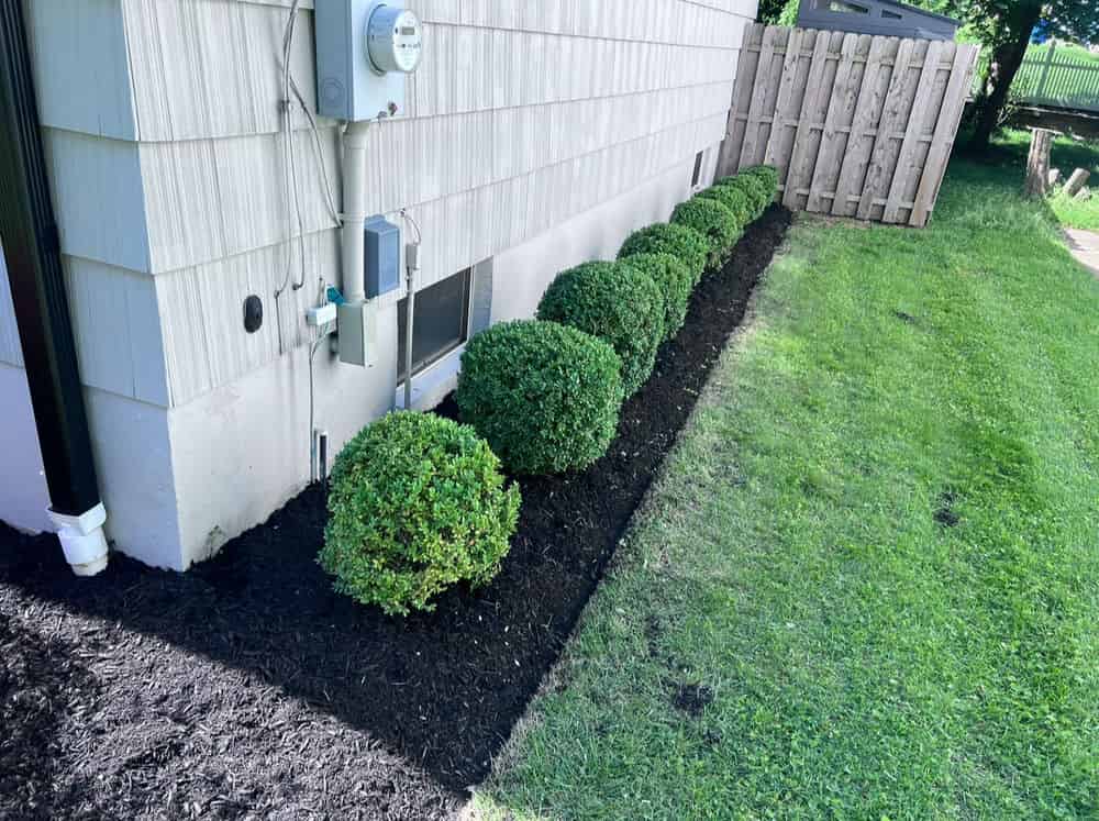 Tree and Shrub Services image