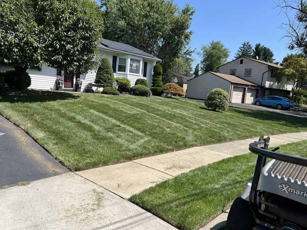 Lawn Care Services image