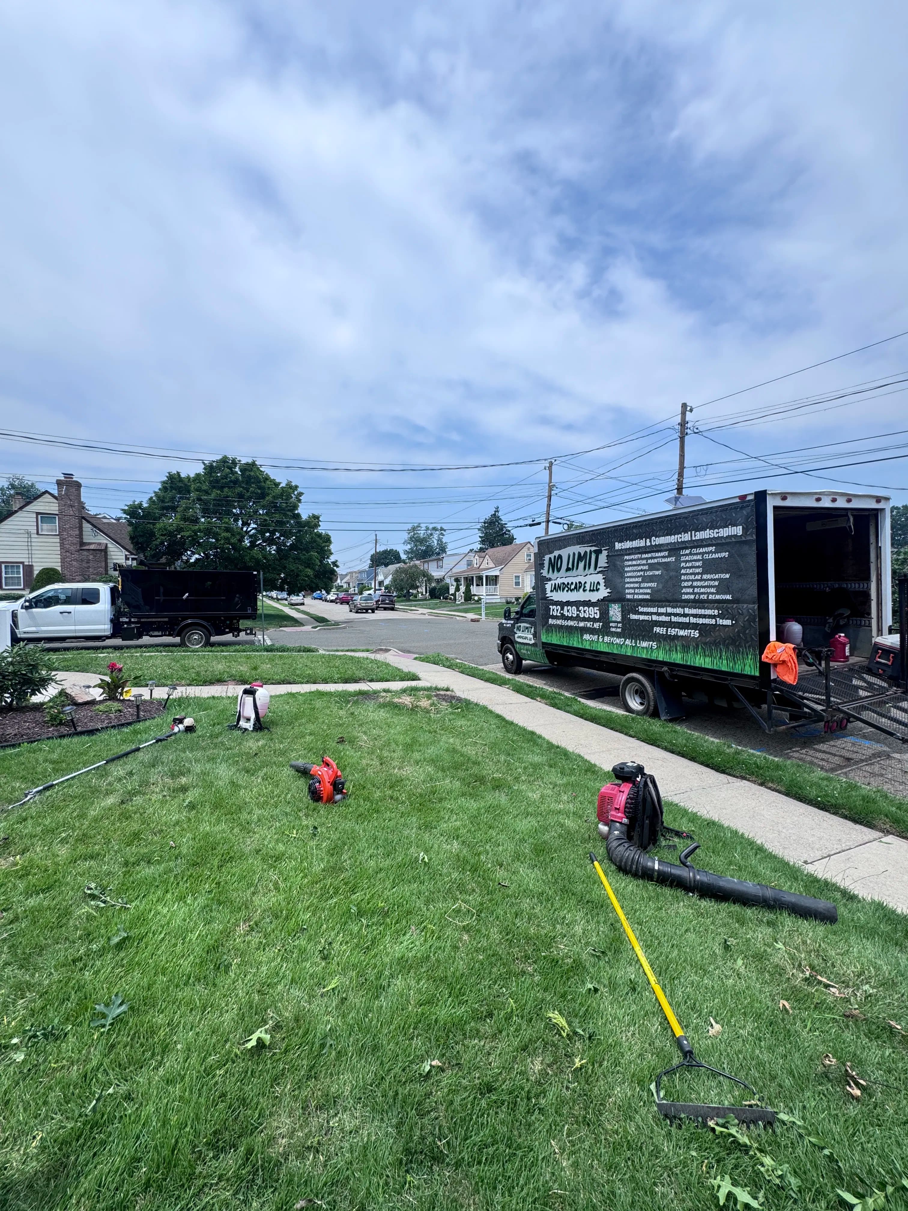 Tree and Shrub Services image