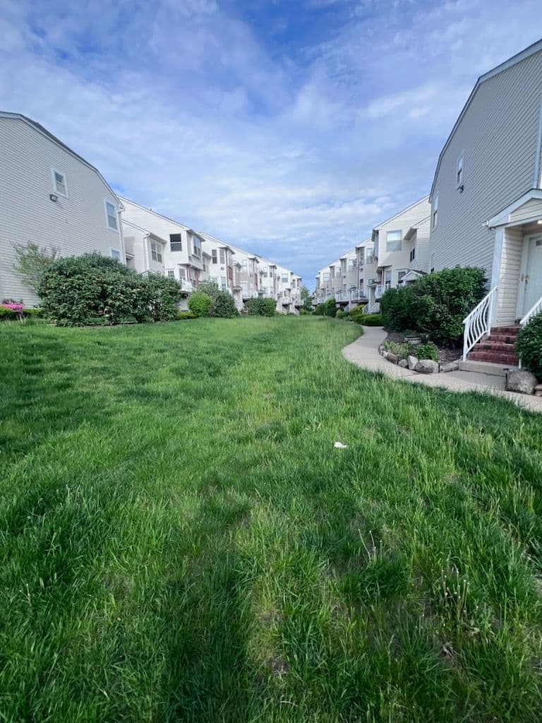 Project Apartment Landscape Transformation in [City] image