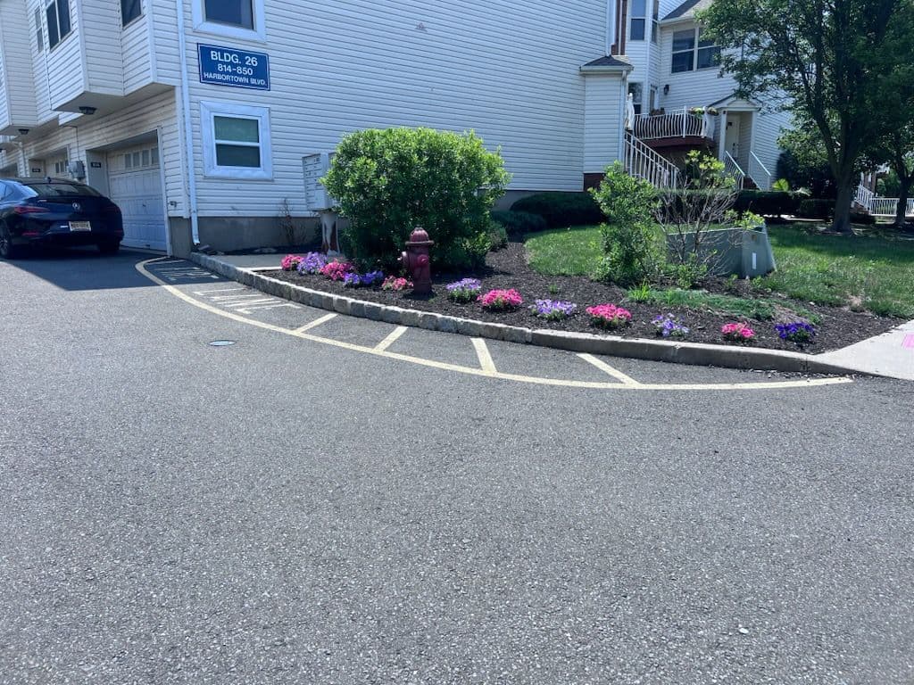 Lush Garden Revamp at Middlesex Apartment image