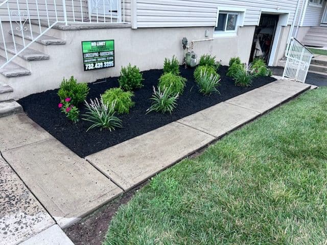 Gallery photos for Transform Your Curb Appeal with No Limit Landscape: Image #2