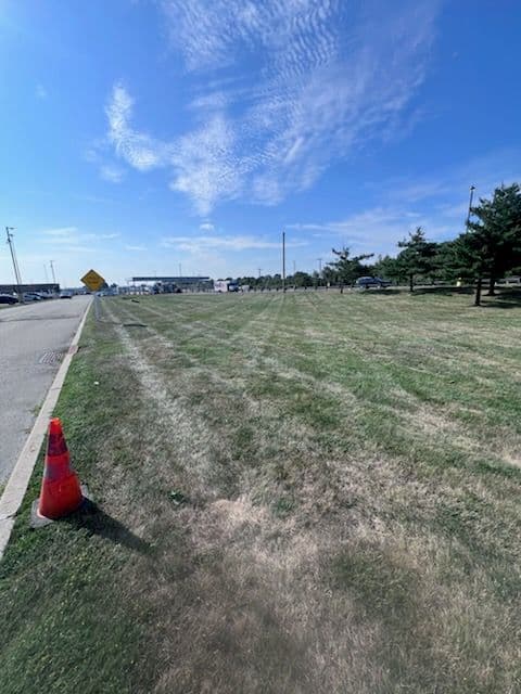 Commercial Landscape Transformation Brightens Local Facility image