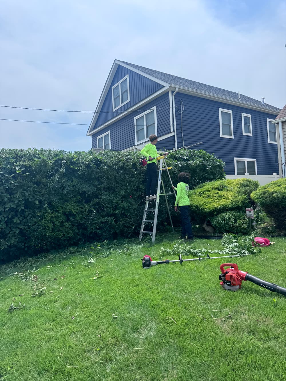 Bush Trimming and Shaping at a Woodbridge, NJ Property image